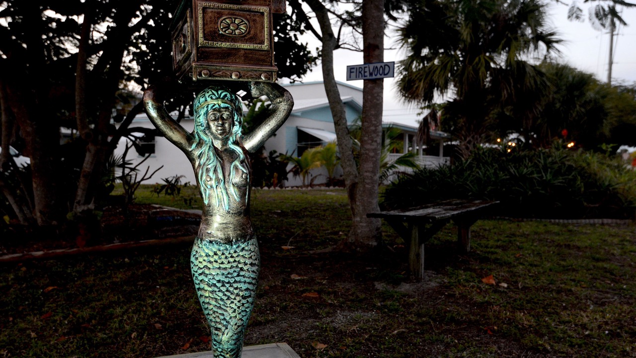 Photo of Others in Jensen Beach