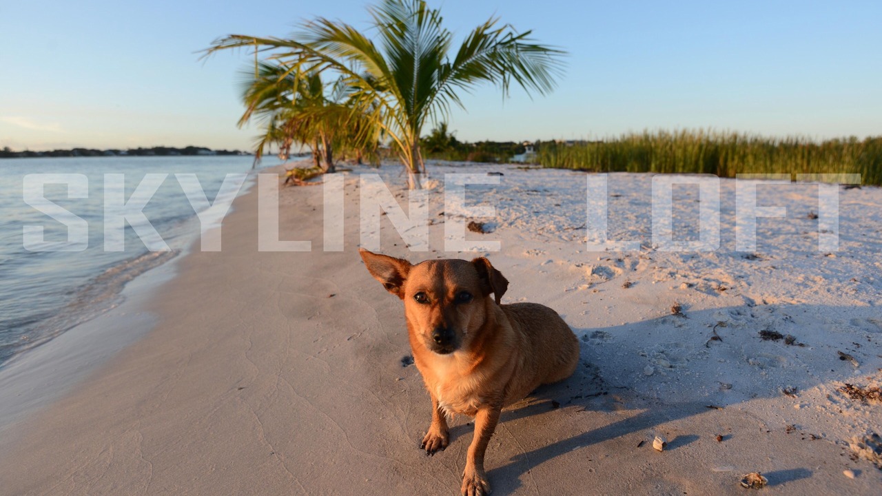 Photo of Others in Jensen Beach
