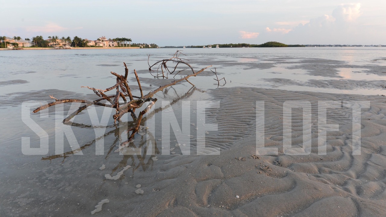 Photo of Others in Jensen Beach