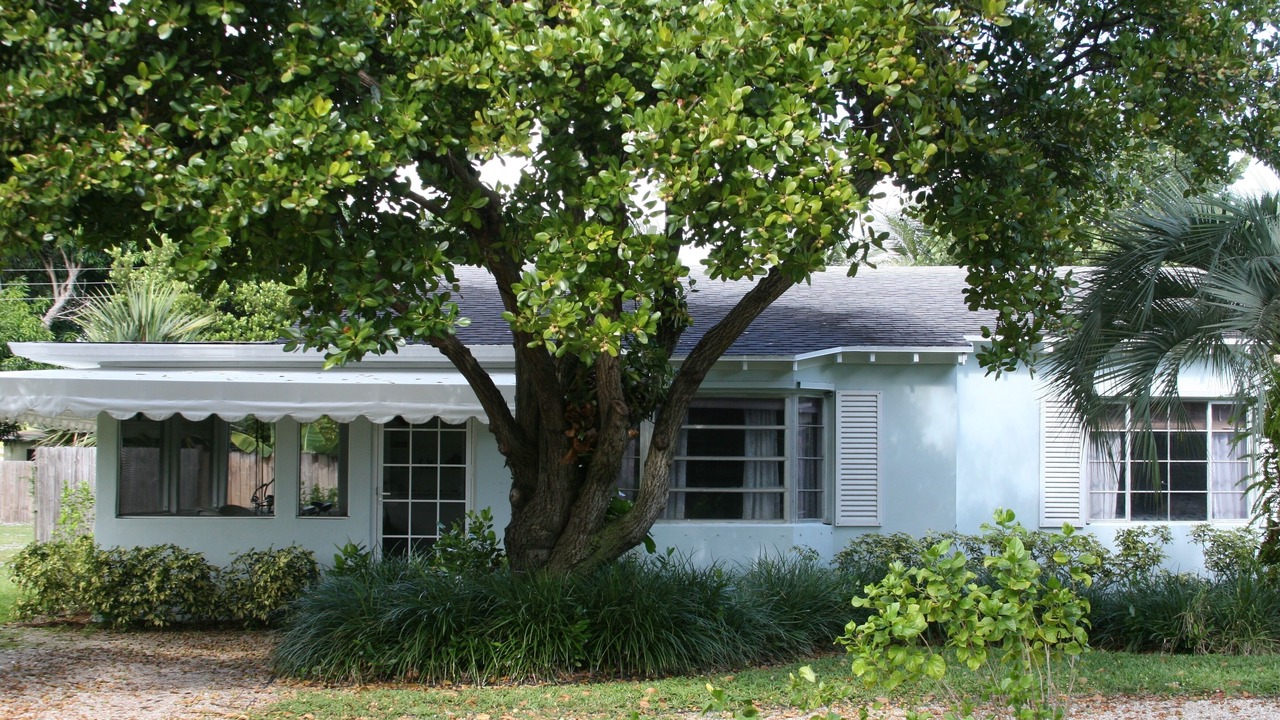 Photo of Outdoor in Delray Beach