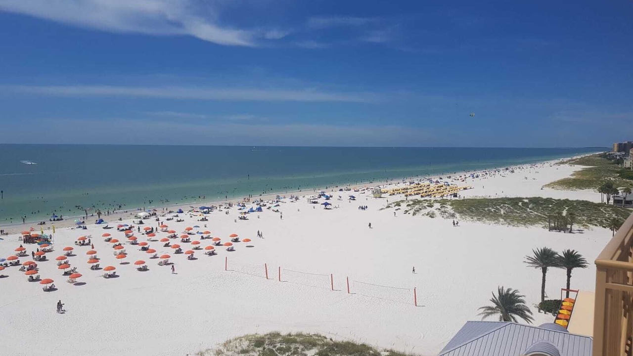 Photo of Others in St. Pete Beach