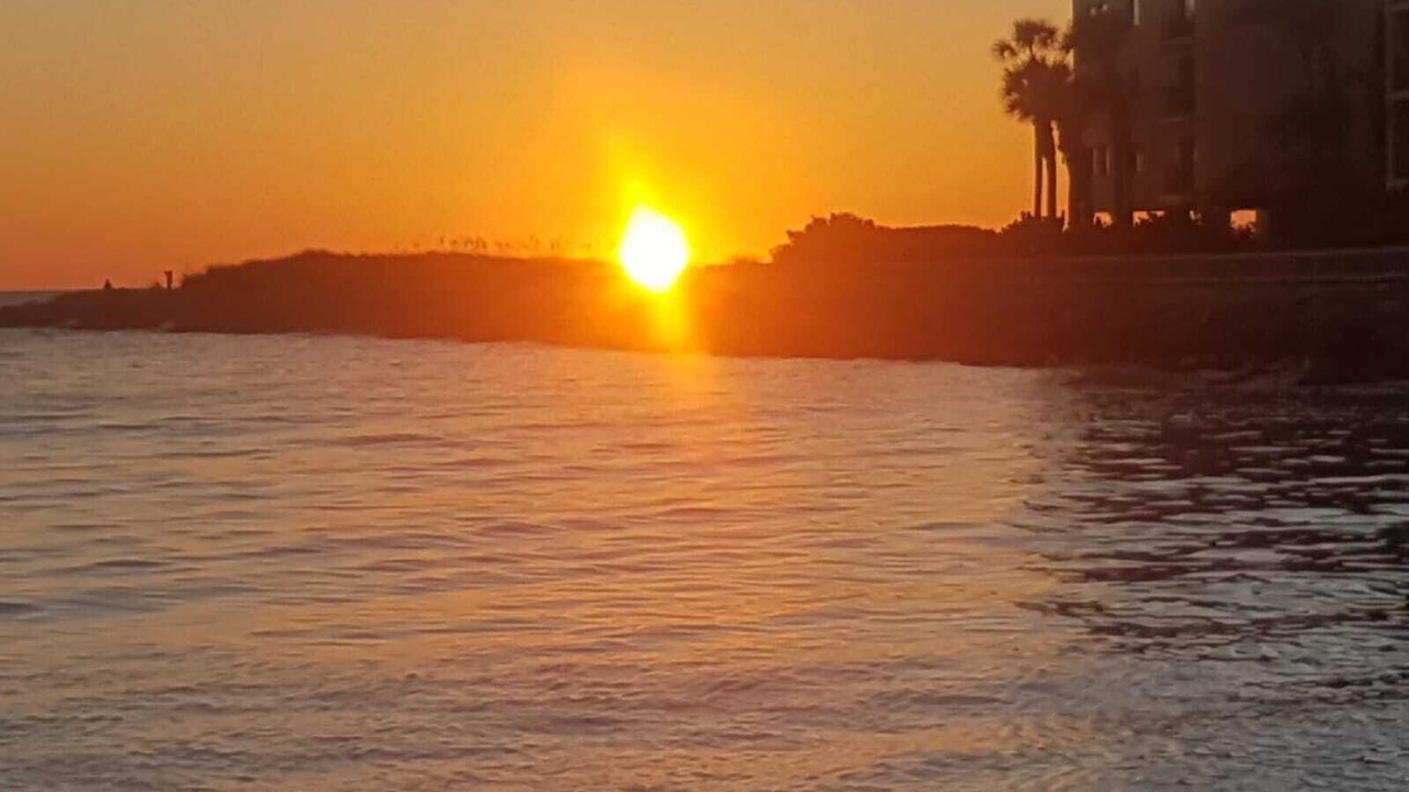 Photo of Others in St. Pete Beach