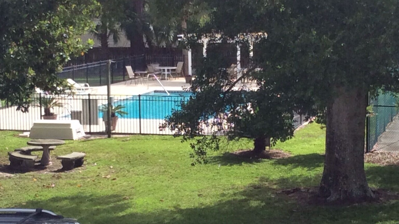 Photo of Outdoor in Panacea