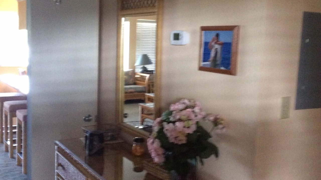 Photo of Others in Panacea