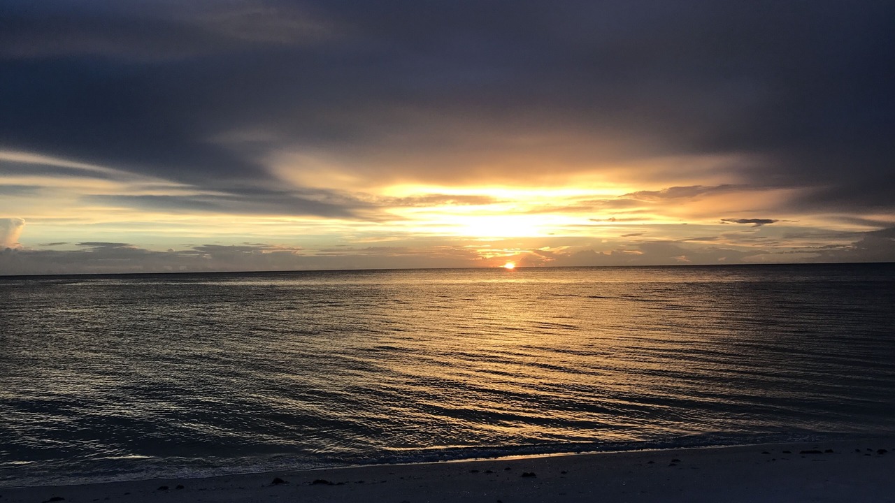 Photo of Others in Vanderbilt Beach