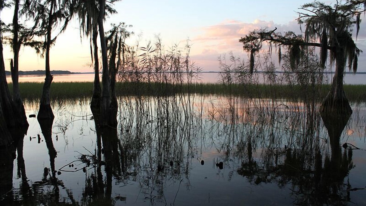 Photo of Others in Yalaha