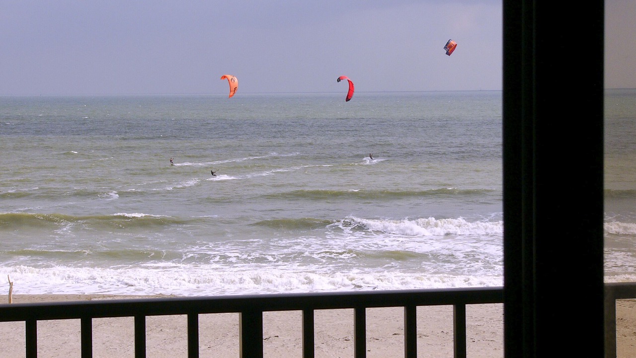 Photo of Others in Port Canaveral