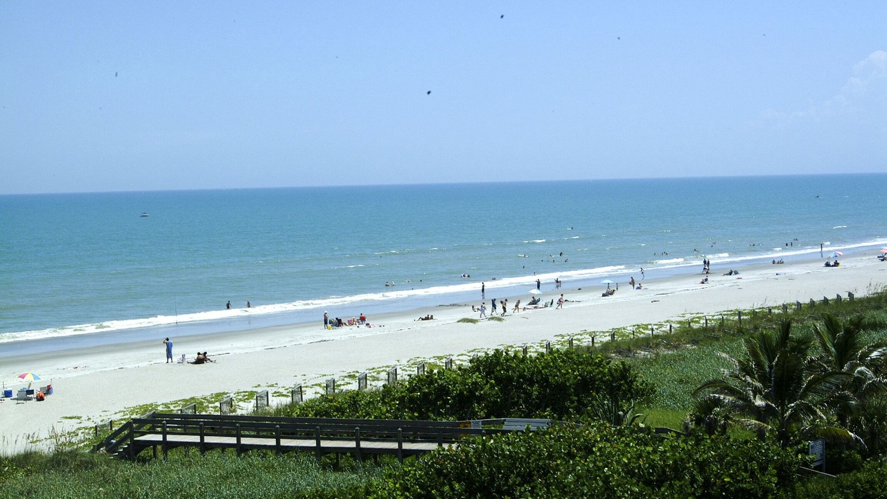Photo of Others in Port Canaveral
