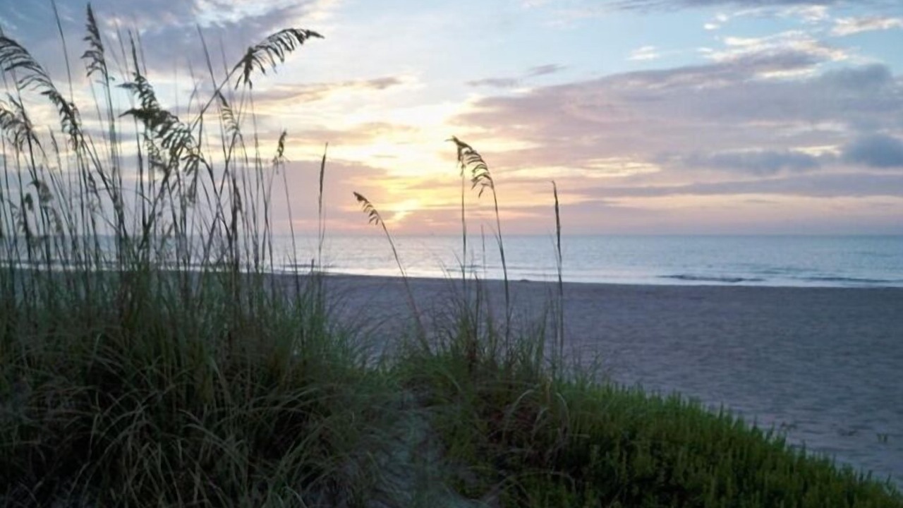 Photo of Others in Cocoa Beach