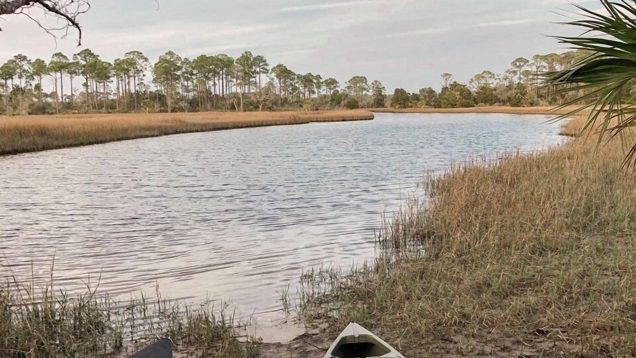 Photo of Others in Steinhatchee
