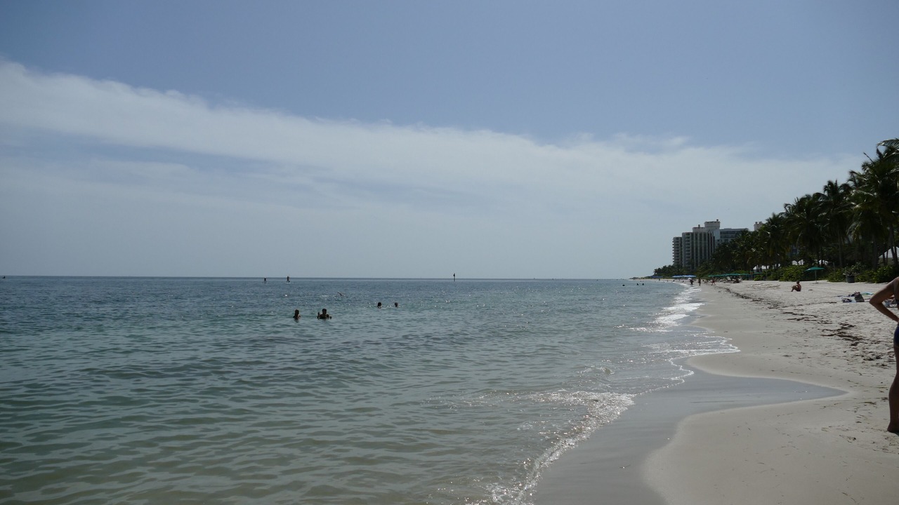 Photo of Others in Key Biscayne