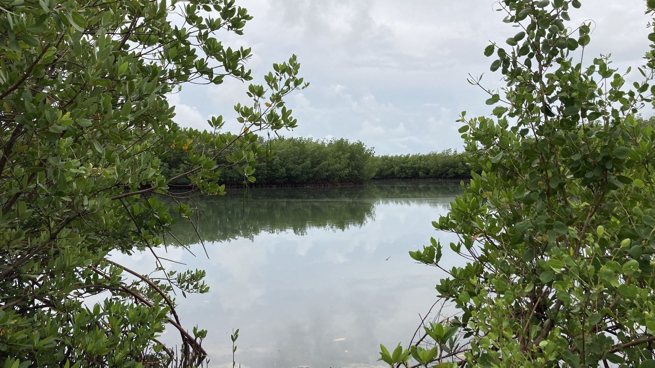 Photo of Outdoor in Key Biscayne
