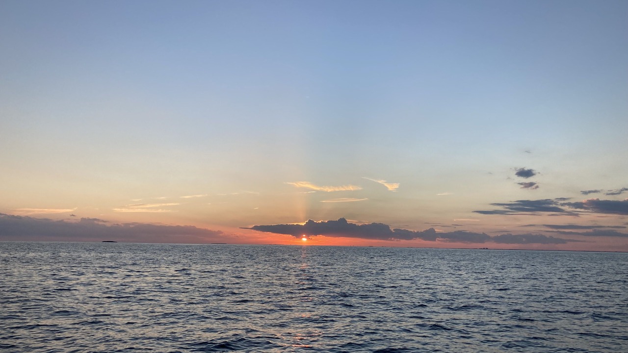 Photo of Others in Key Biscayne