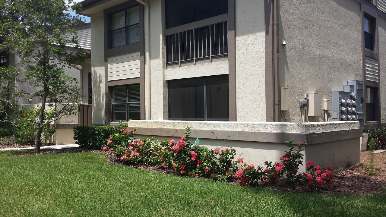 Photo of Outdoor in Oldsmar