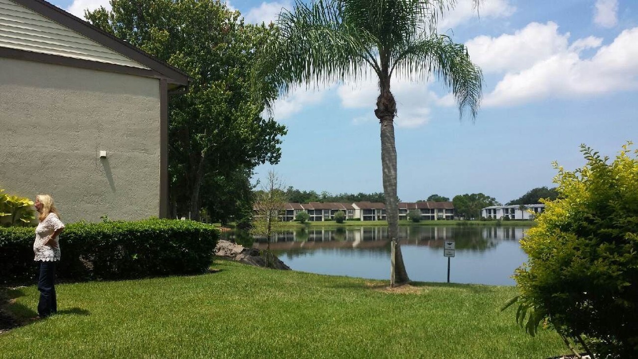 Photo of Others in Oldsmar