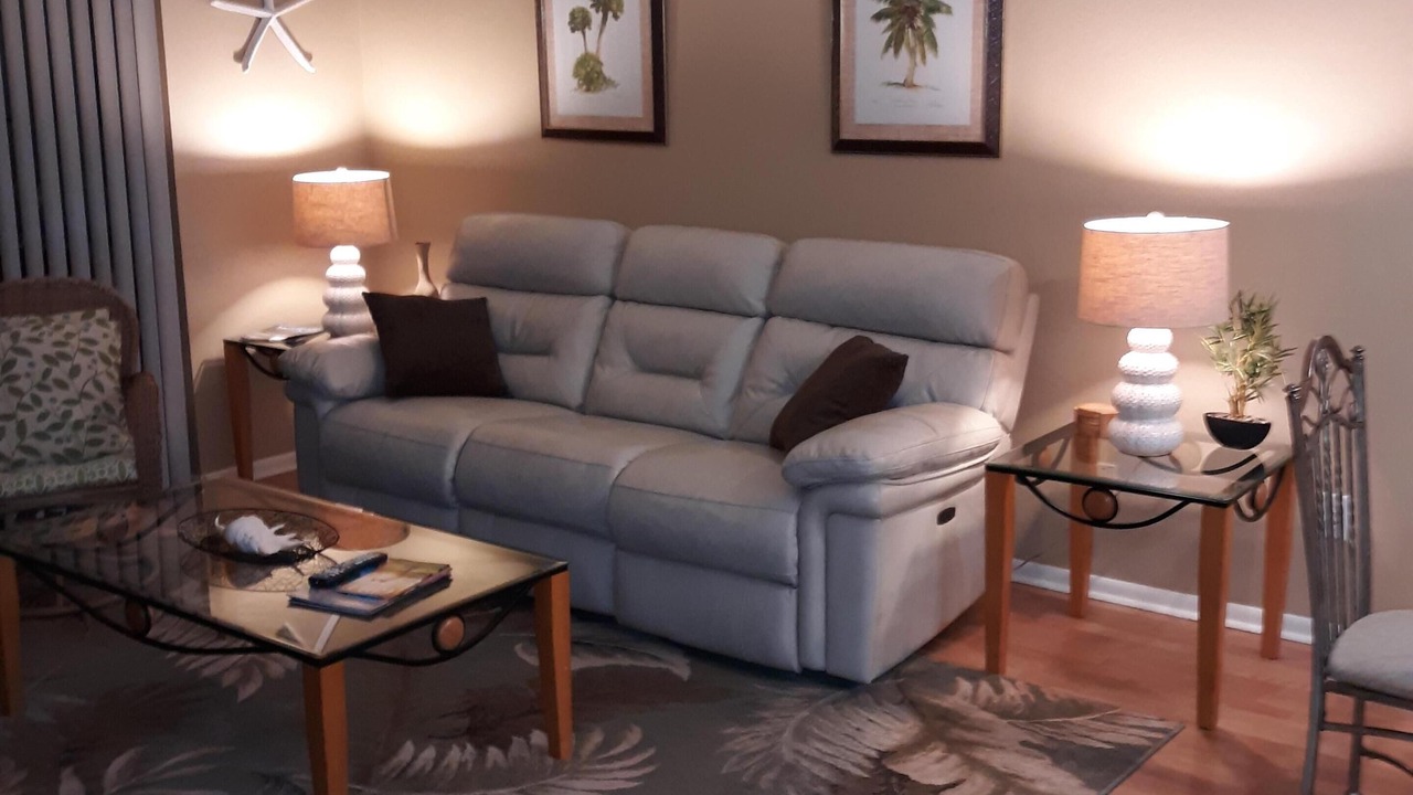 Photo of Livingroom in Oldsmar