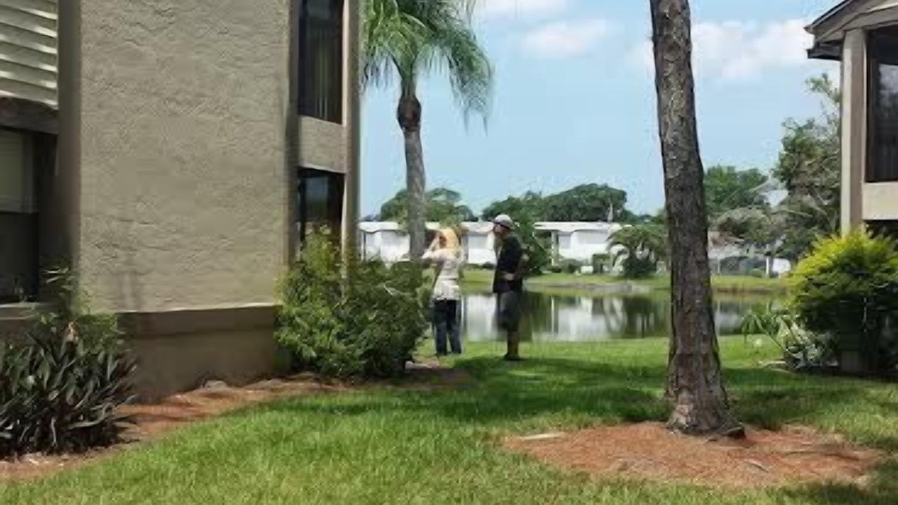Photo of Others in Oldsmar