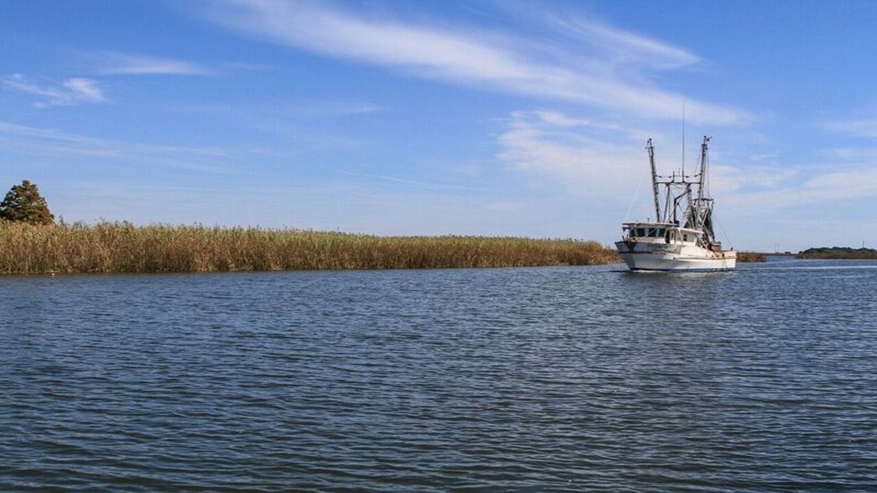 Photo of Outdoor in Historic Downtown Apalachicola
