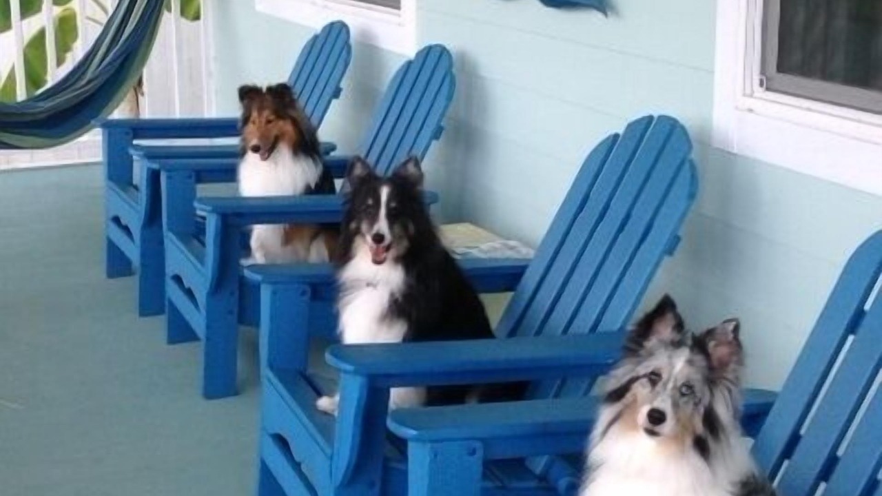 Photo of Others in Butler Beach