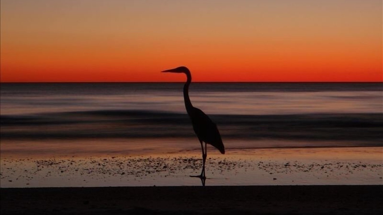 Photo of Others in Bradenton Beach