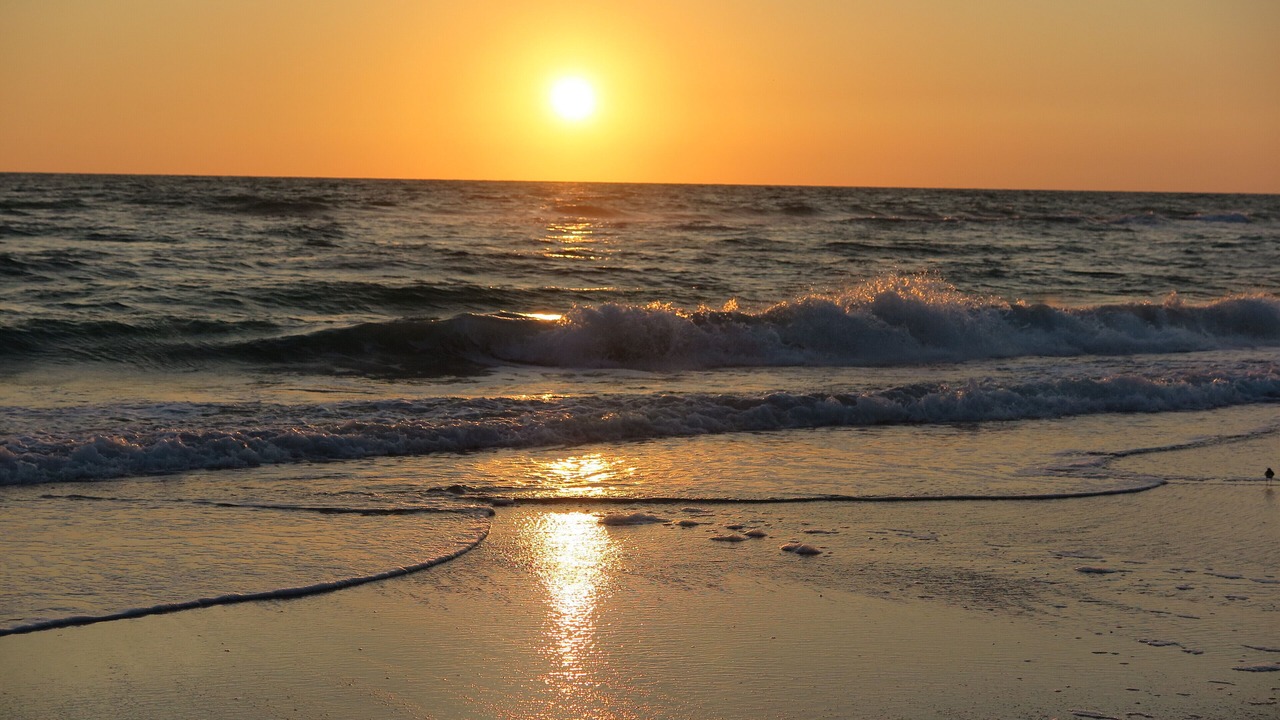 Photo of Others in Bradenton Beach