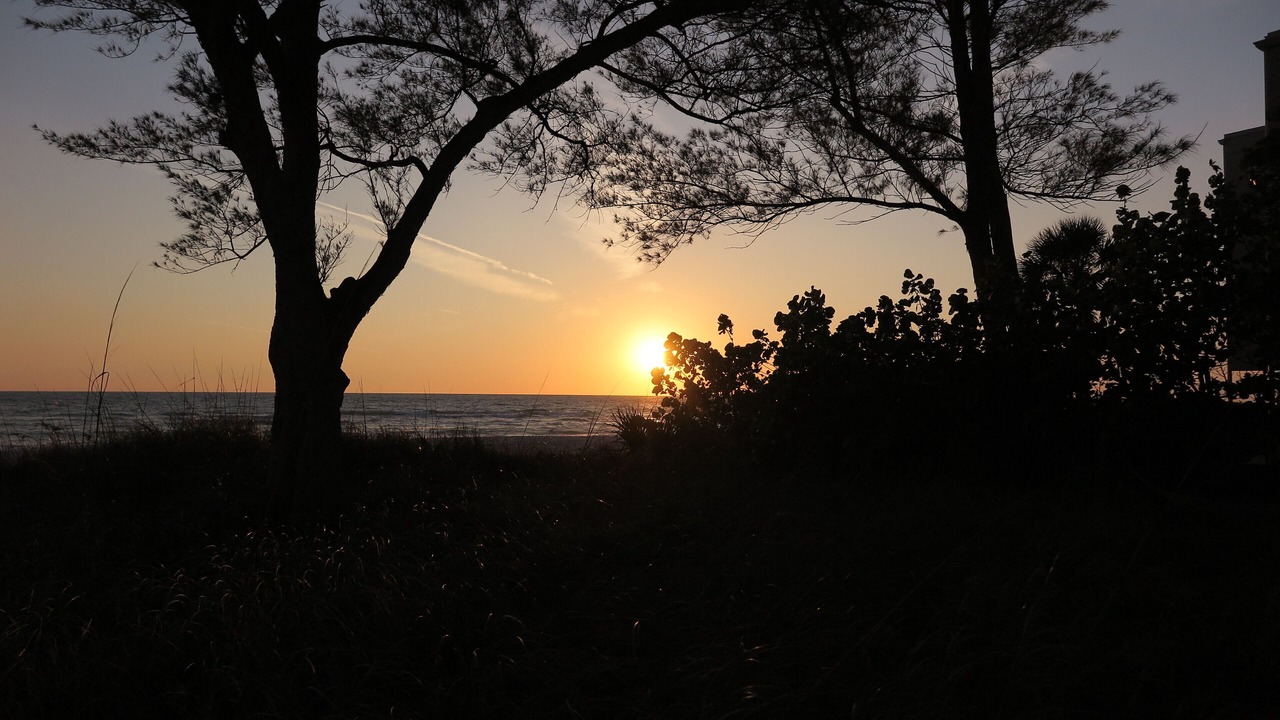 Photo of Others in Bradenton Beach