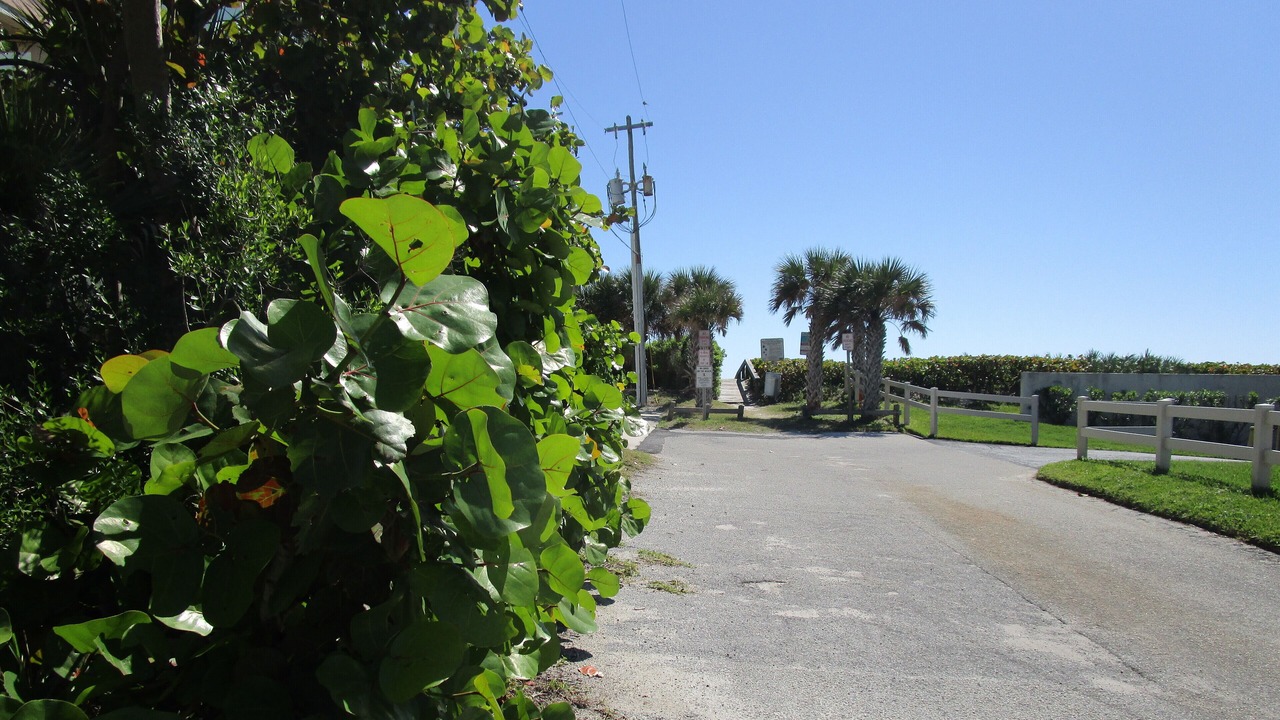 Photo of Others in Crescent Beach