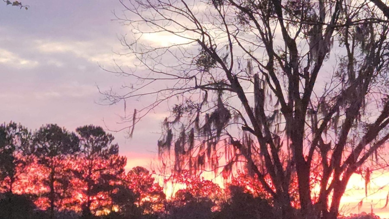 Photo of Others in Alachua