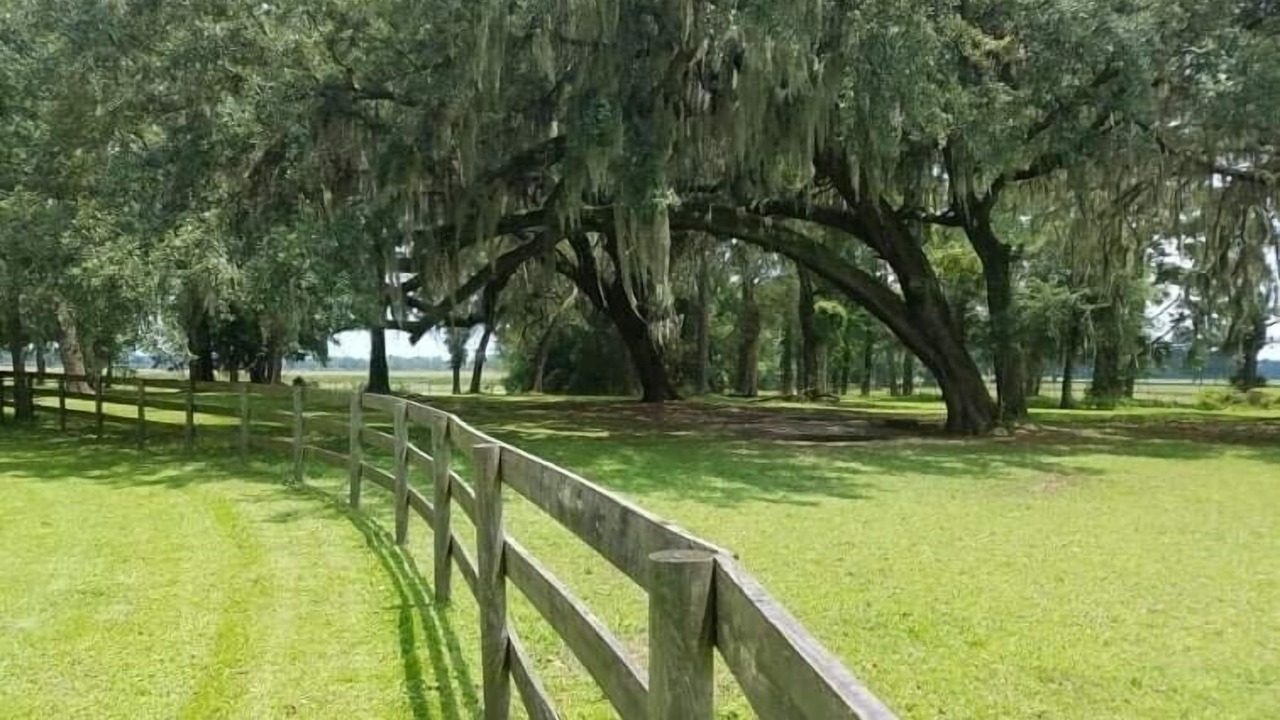 Photo of Others in Alachua
