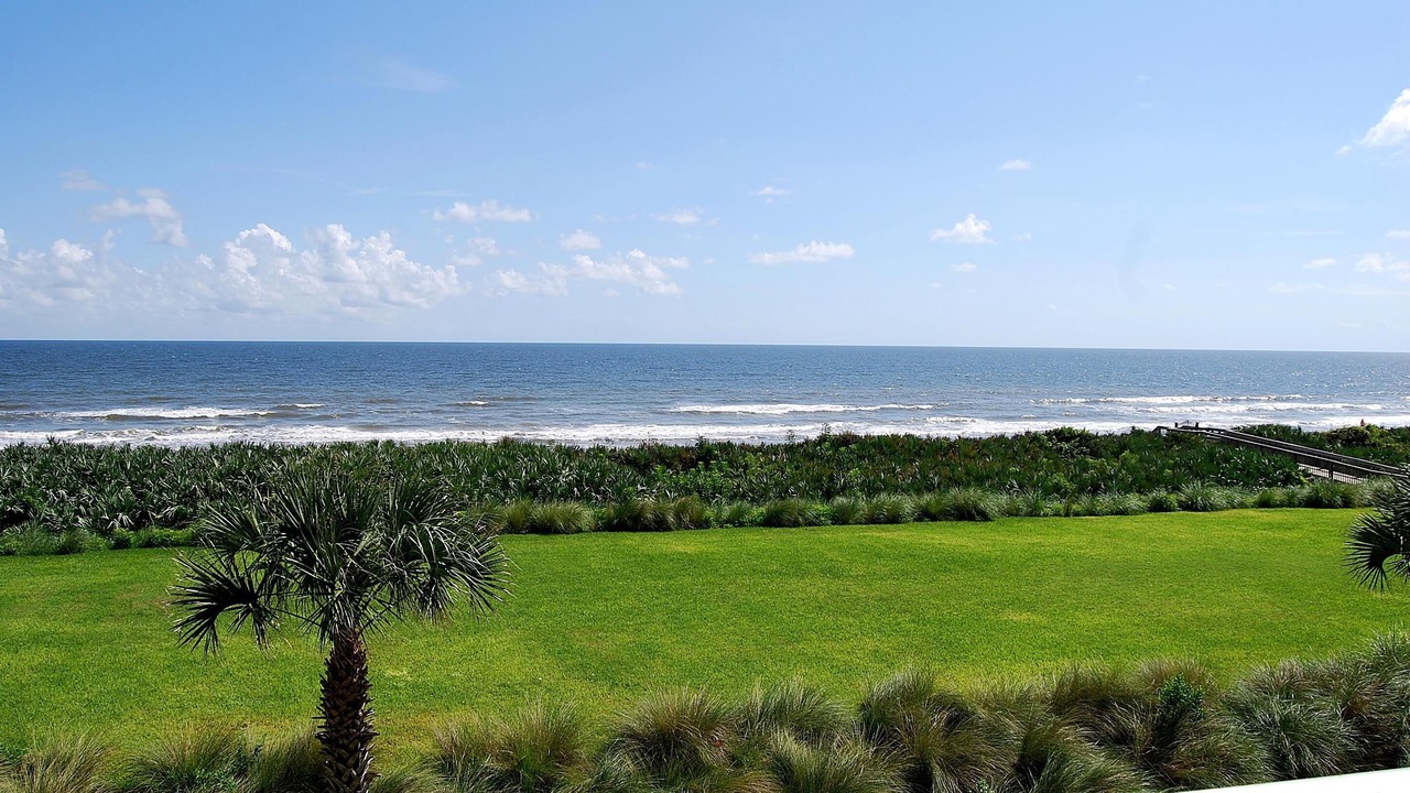 Photo of Outdoor in Palm Coast