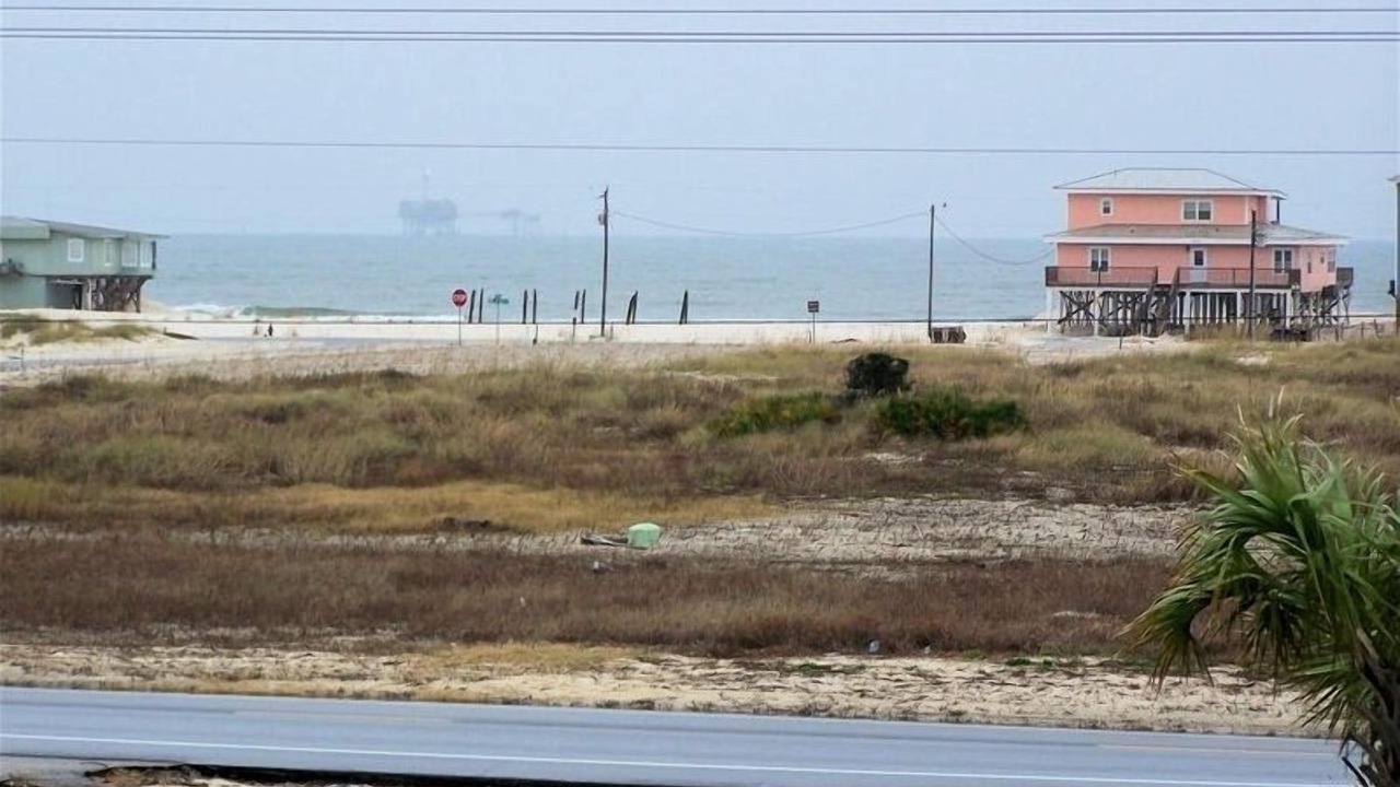 Photo of Others in Fort Morgan Pines
