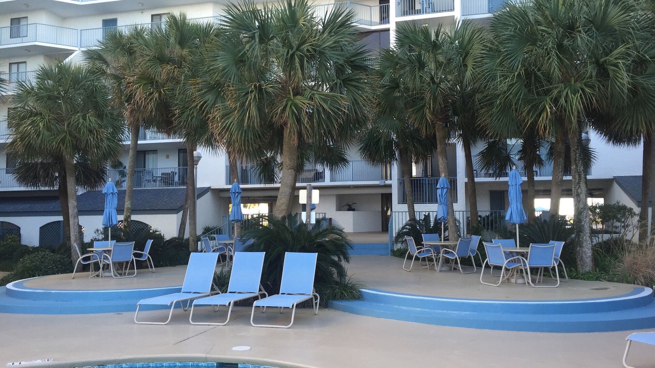 Photo of Others in Gulf Shores