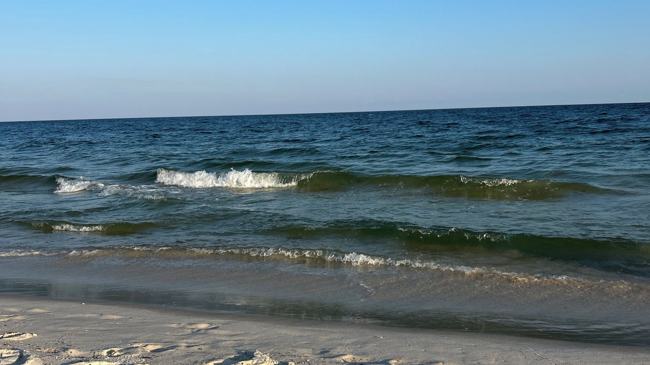 Photo of Others in Gulf Shores