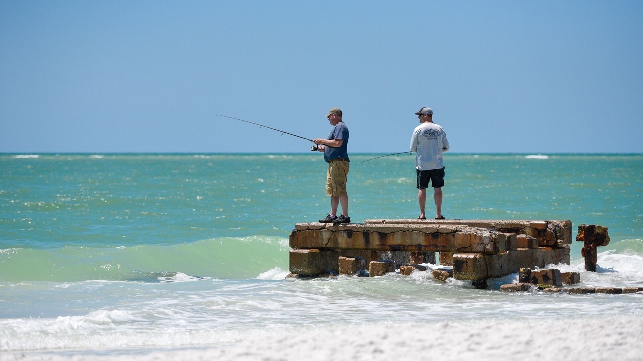 Photo of Others in Siesta Key