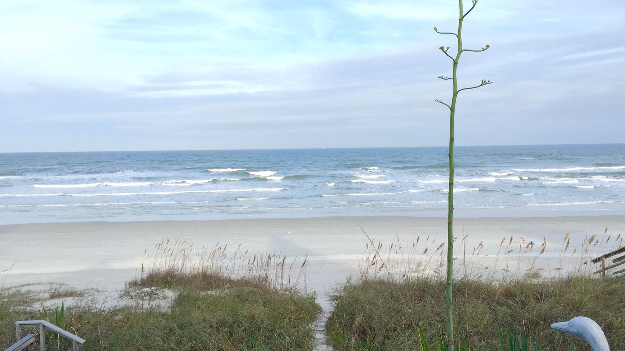 Photo of Others in Wilbur-By-The-Sea