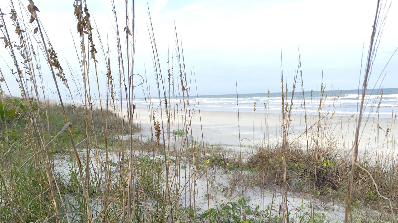 Photo of Others in Wilbur-By-The-Sea