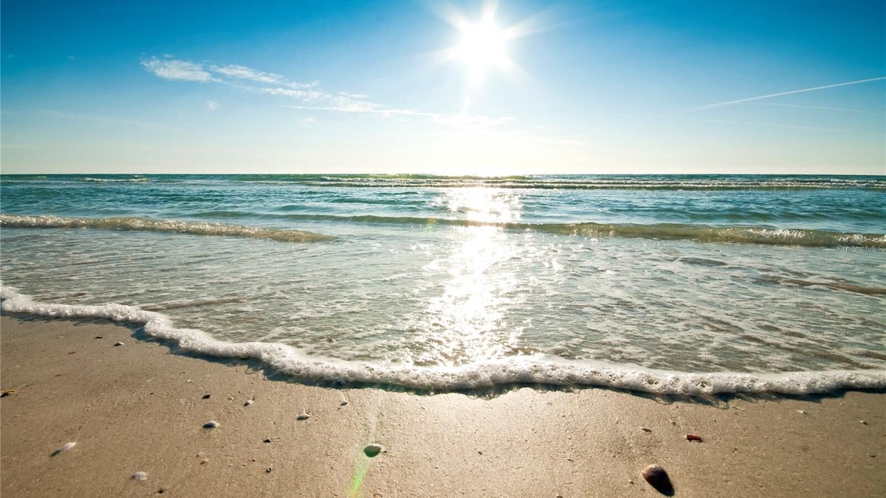 Photo of Others in Golden Beach