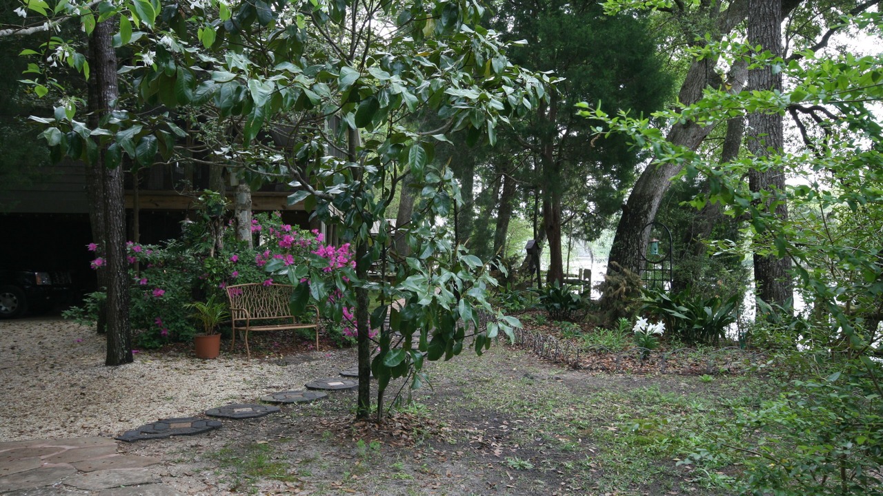 Photo of Others in Ponce De Leon