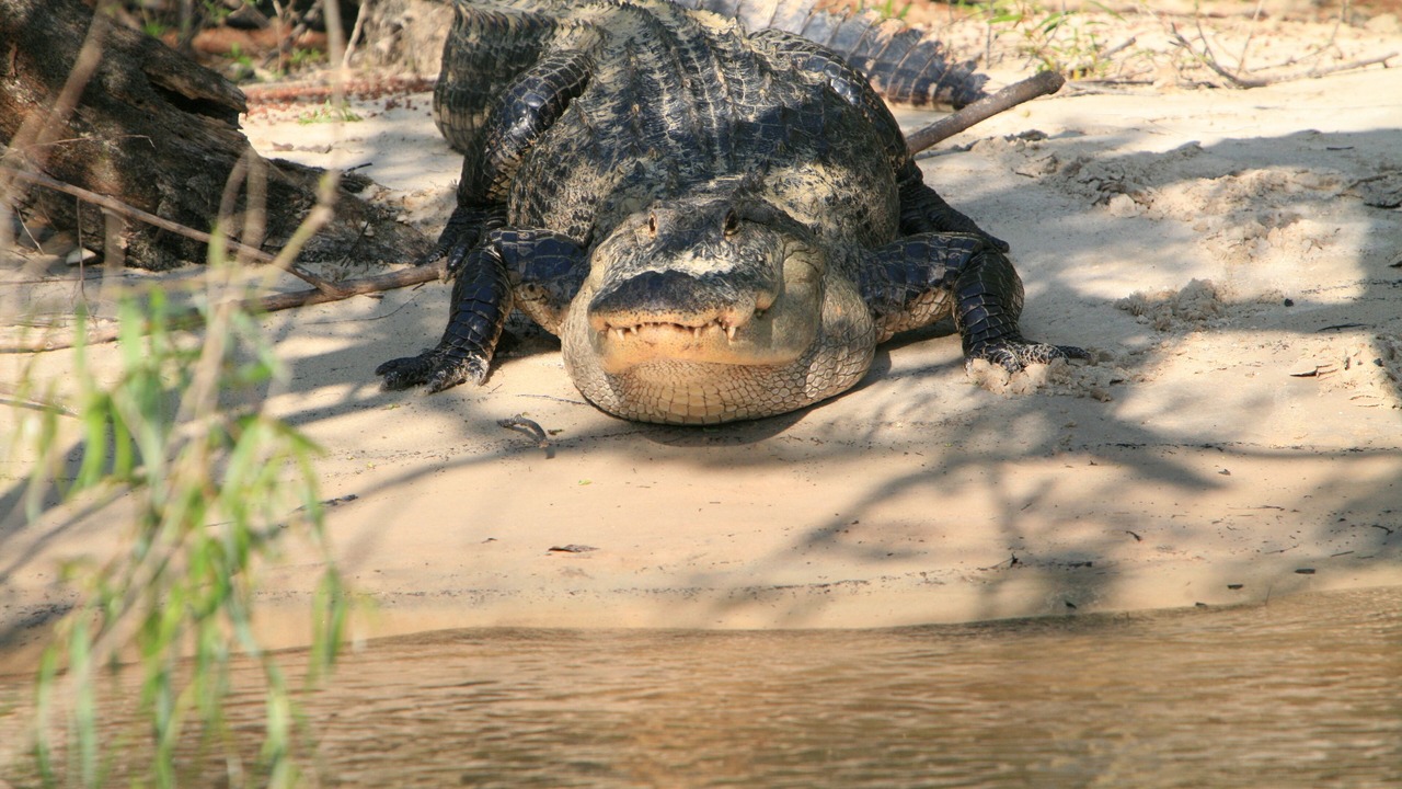 Photo of Others in Ponce De Leon