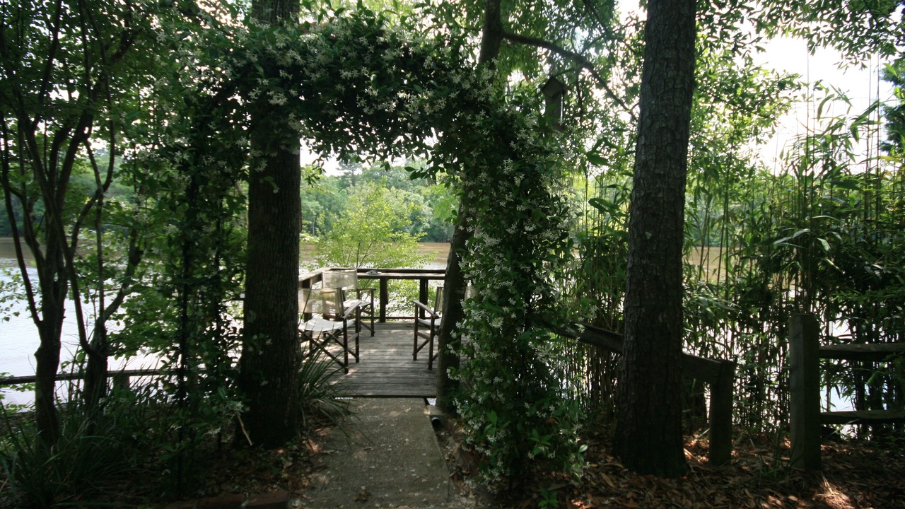 Photo of Others in Ponce De Leon