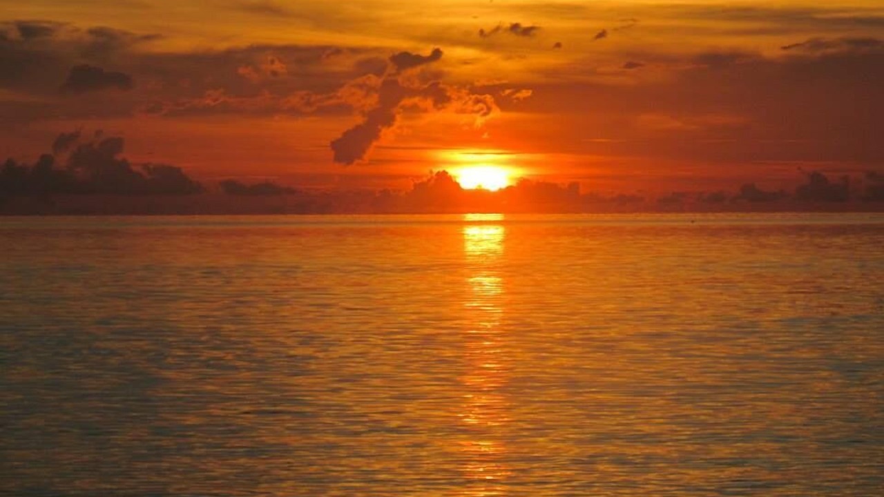 Photo of Others in Islamorada