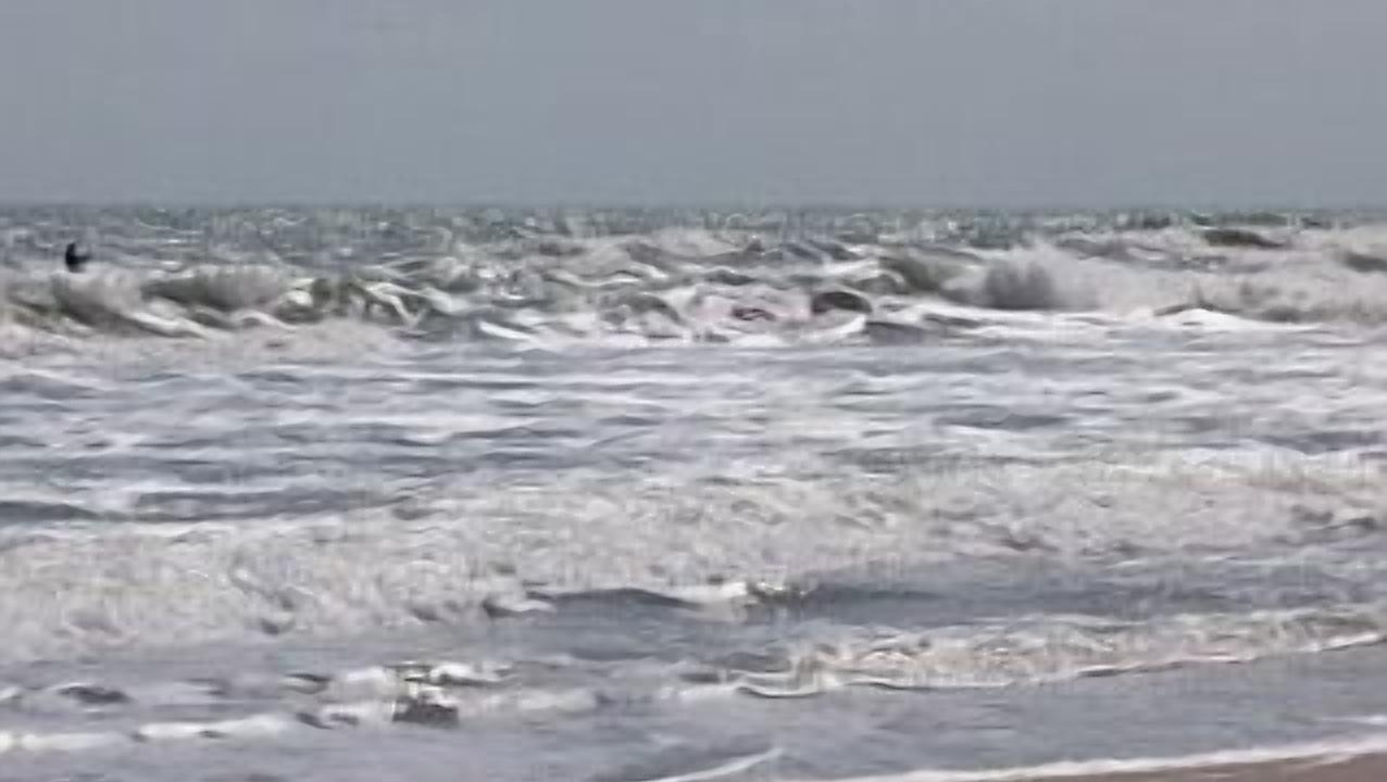 Photo of Others in Cocoa Beach