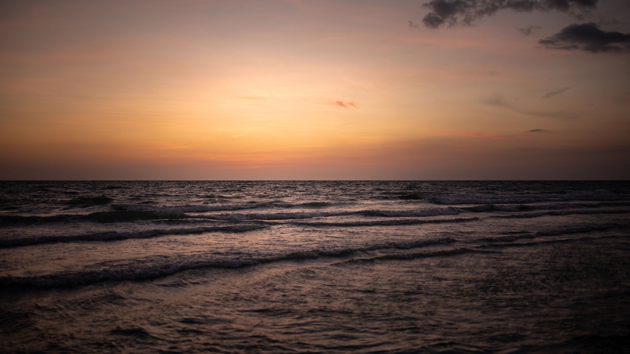Photo of Others in Boca Grande