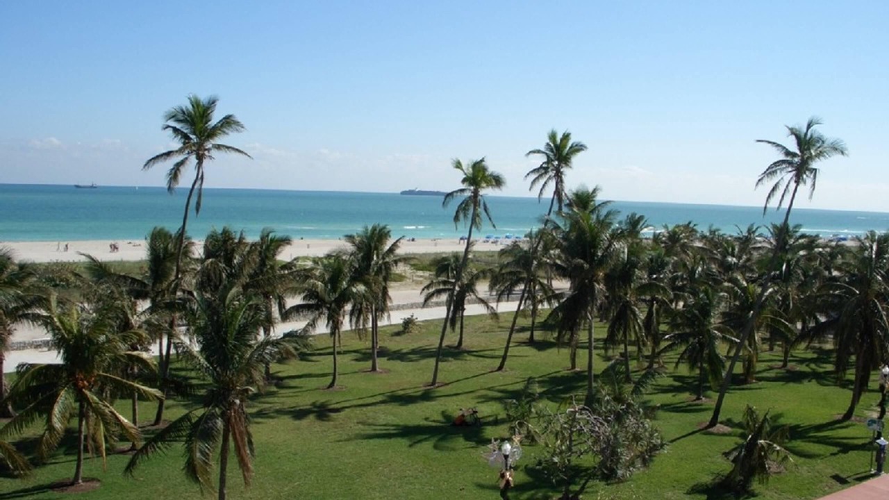 Photo of Others in South Beach