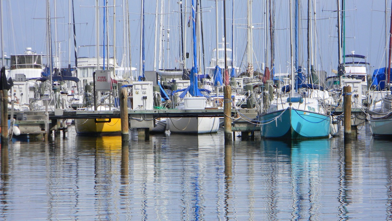 Photo of Others in St. Petersburg - Clearwater