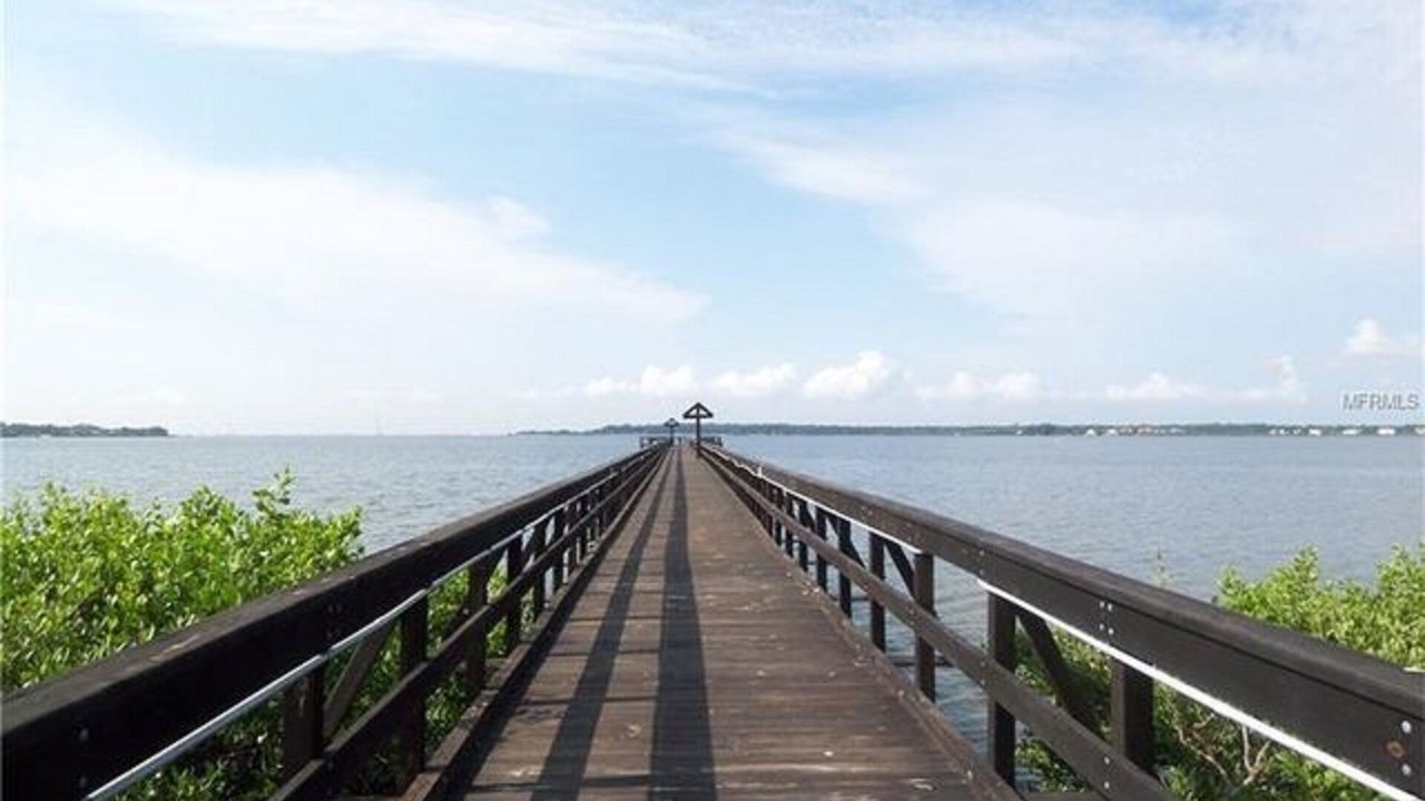 Photo of Others in Oldsmar