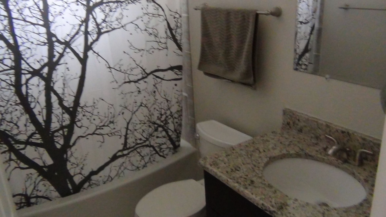 Photo of Bathroom in Oldsmar