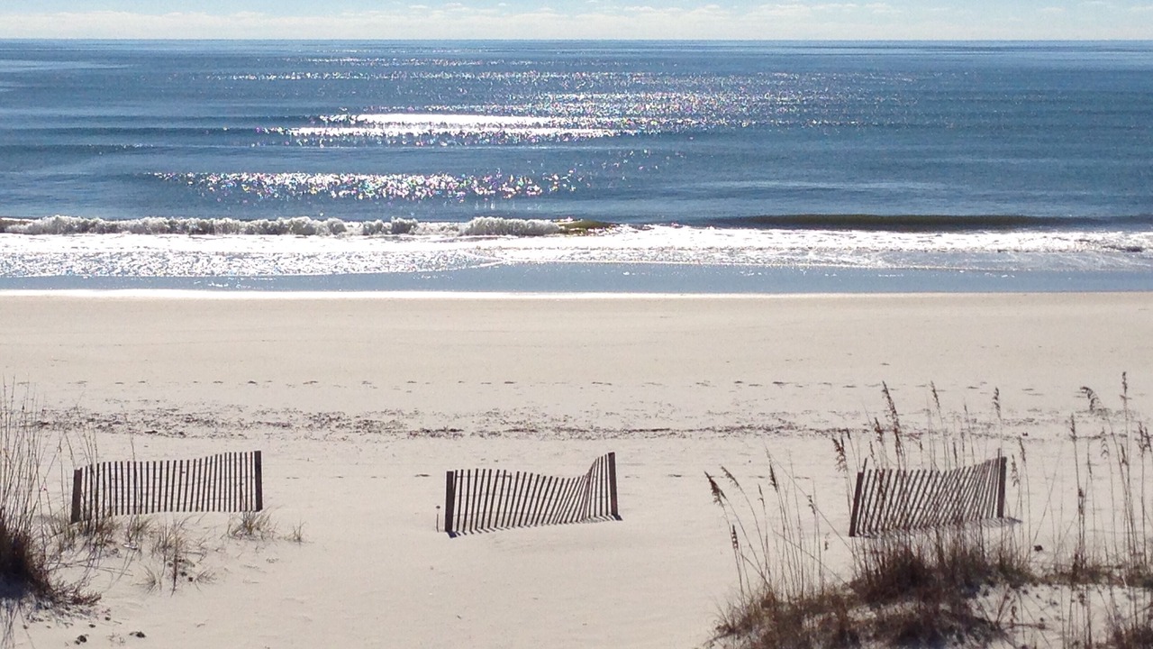 Photo of Others in Gulf Shores