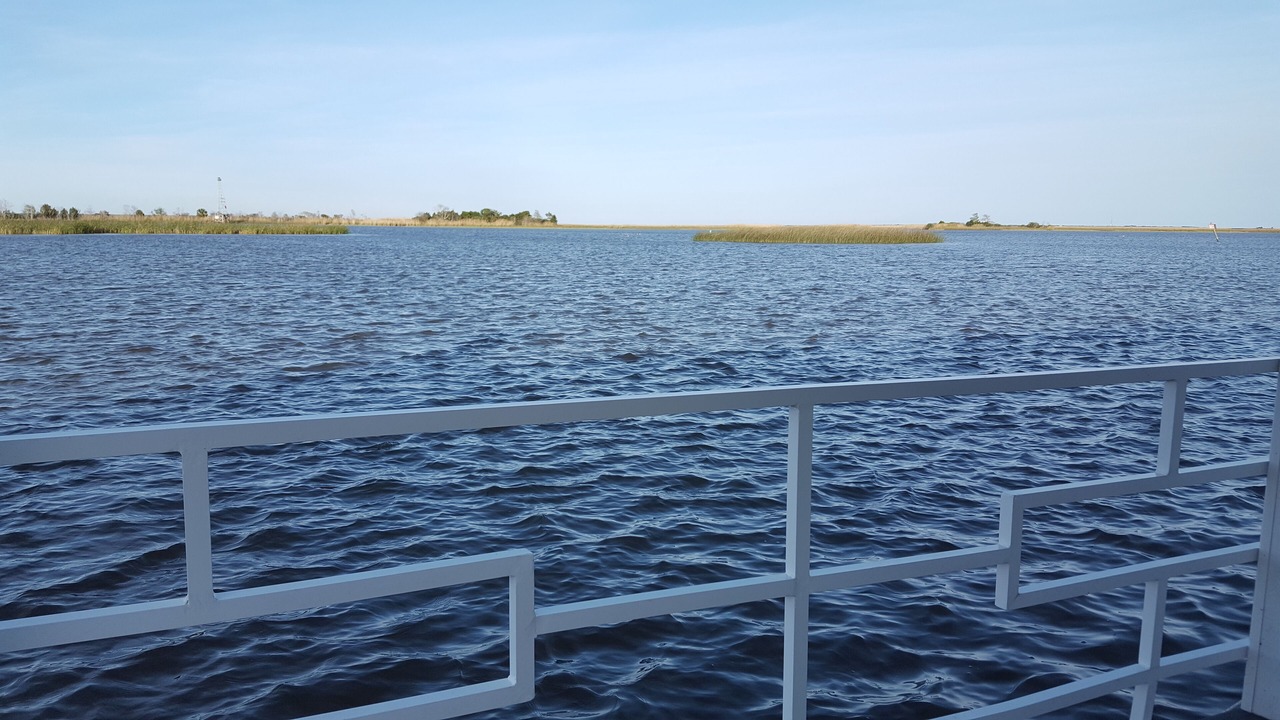 Photo of Others in Apalachicola