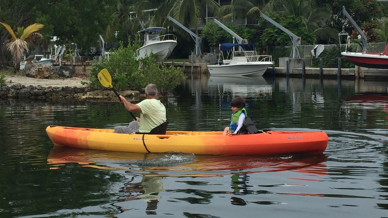 Photo of Outdoor in Indian Waterways